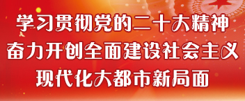 學習貫徹黨的二十大精神  奮力開創全面建設社會主義現代化大都市新局面